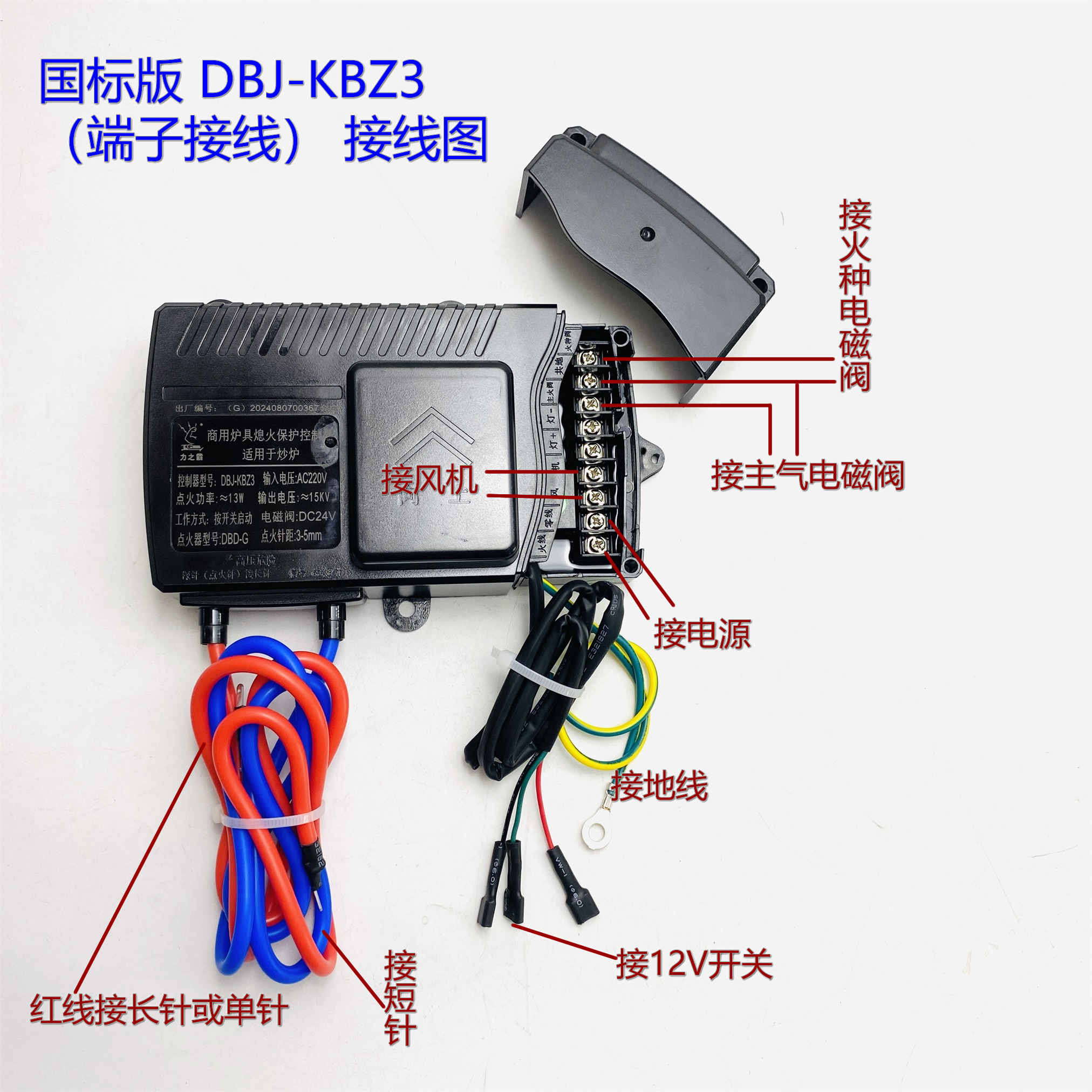 1724034974769374.jpg 2024_08_12_10_47_IMG_3762.JPG